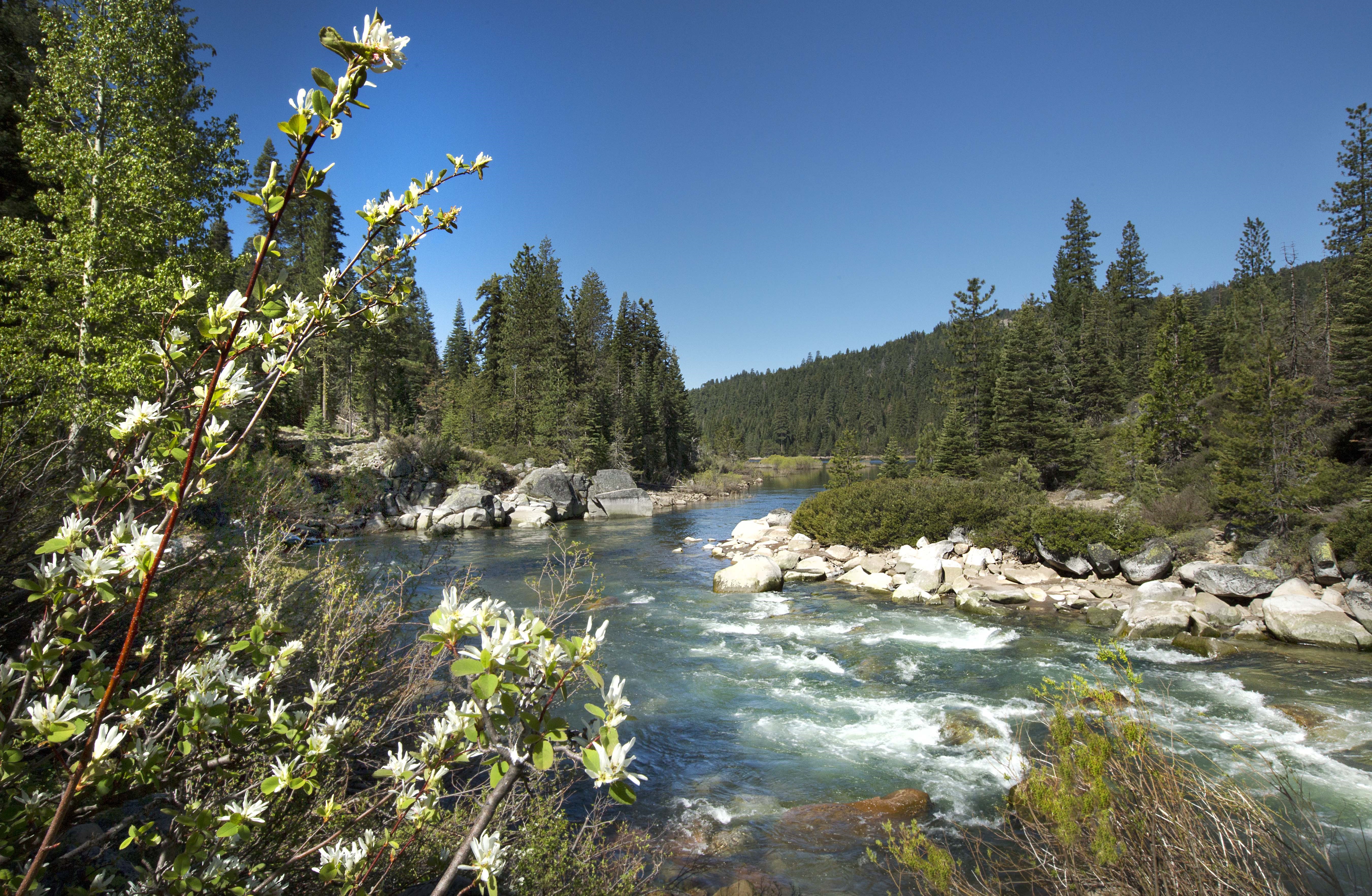 Middle Fork American River at French Meadows Inlet